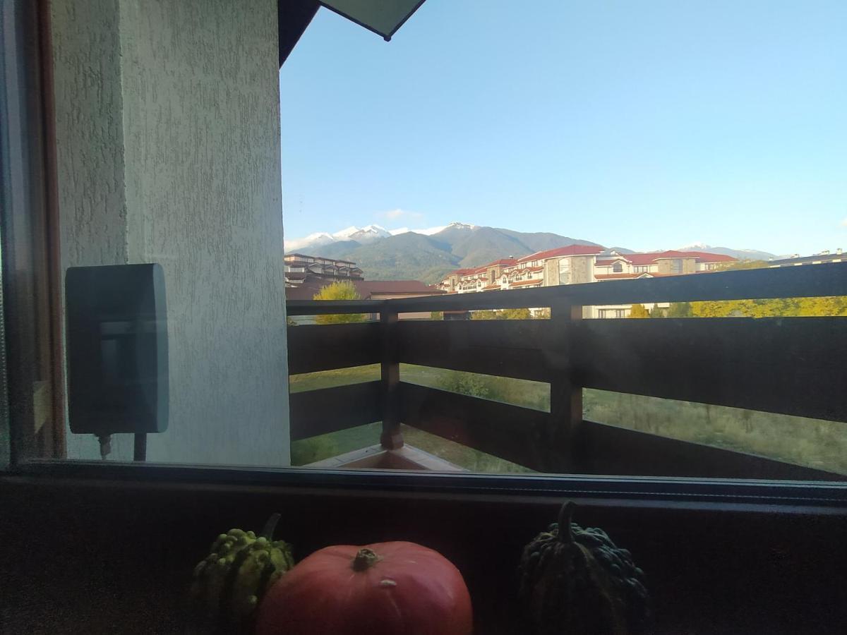 Pine Tree Studio B11 Bansko Exterior photo